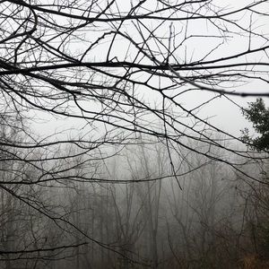 Meet your Posher, Phillip